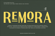 TT Remora – Modern Sans Display, a Sans Serif Font by truetype (Thumbnail 1 of 15)