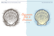 Sea Shells(Vector) + Beach Bonus, an Object Illustration by Well Rock Designs (Thumbnail 2 of 9)