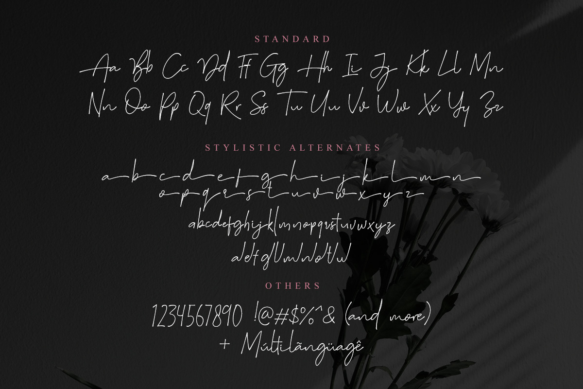 Suddenly - Signature Script, a Script Font by Sarid Ezra (Photo 10 of 10)