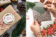 Christmas Florals, Poinsettia, an Object Graphic by ilonitta (Thumbnail 15 of 18)