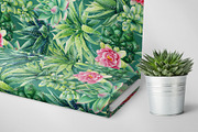 Succulents Botanical Watercolor, a Background Graphic by Hanna Hryharenka (Thumbnail 5 of 15)