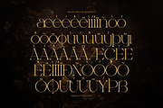 Neo Joel | Display Serif, a Serif Font by gracetype_studio (Thumbnail 11 of 12)