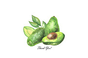 Watercolor avocado clipart, a Food Illustration by OlDm_Shop (Thumbnail 6 of 6)