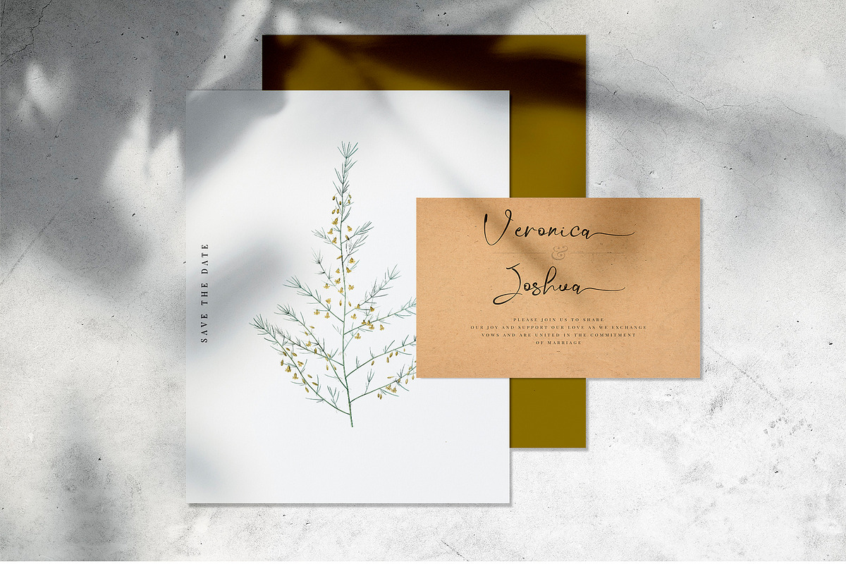 Misty Gold - Signature Fonts, a Script Font by erlosDESIGN (Photo 5 of 12)
