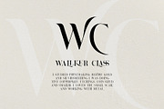 Brovile. A Classy Serif, a Serif Font by HanzelSpace Studio (Thumbnail 10 of 12)