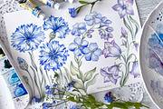Wild flowers bundle, set Wildflowers, a Texture Illustration by MarinadeArt (Thumbnail 6 of 8)