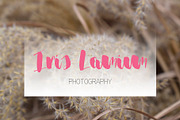 Miana Font, a Script Font by SophieSaxo (Thumbnail 6 of 7)