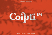 Absolute Borsalino - Serif Font, a Serif Font by Luxima (Thumbnail 14 of 15)