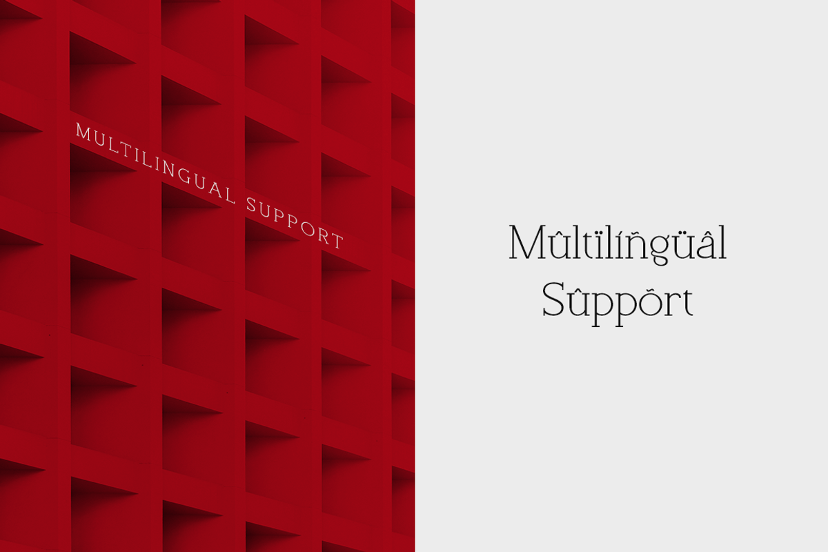 Monolisting - Slab Serif Font, a Slab Serif Font by RockboyStd (Photo 8 of 12)