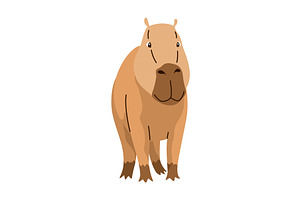 Capybara. Cartoon cute animal, wild, an Animal Illustration by the8monkey