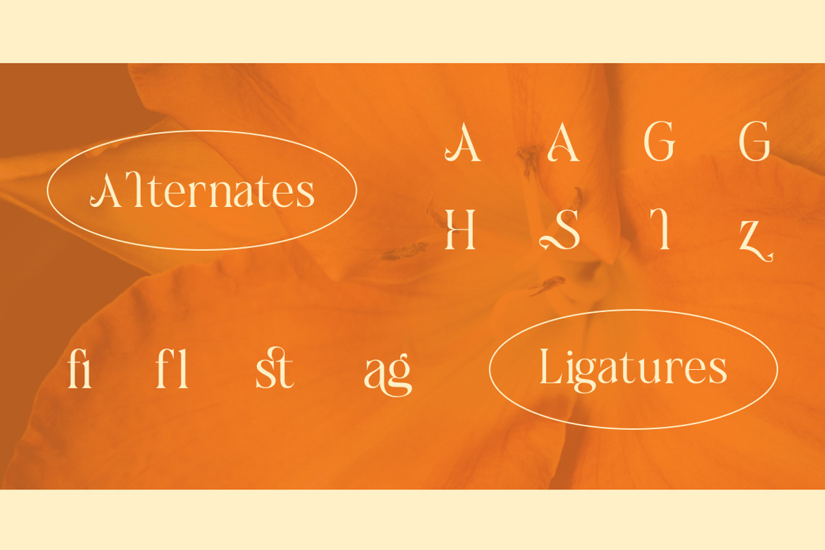 Cagiste Elegant Luxury Serif Font, a Serif Font by Rasio Studio (Photo 4 of 8)