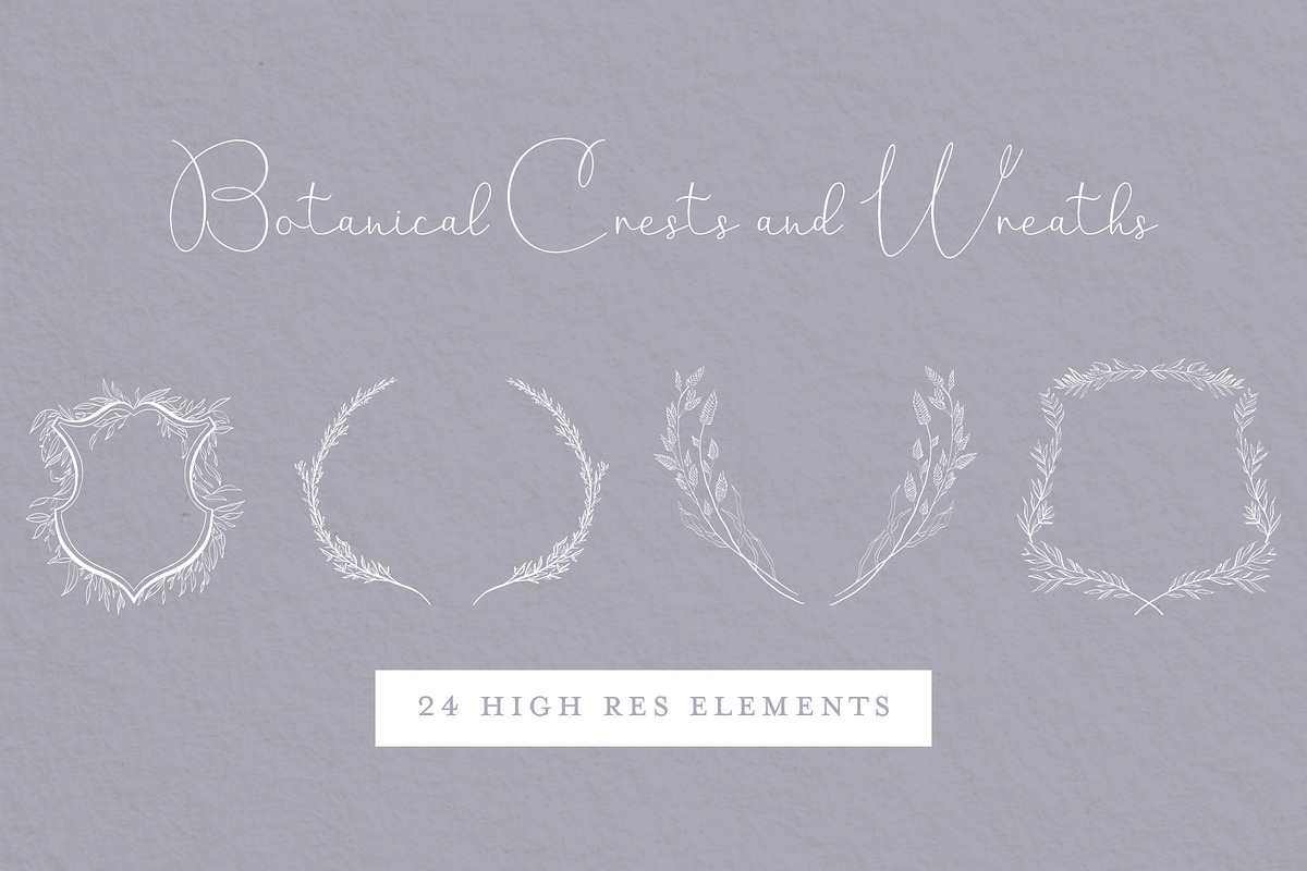 Botanical Crests and Wreaths, a Decorative Illustration by Bbooth88 (Photo 1 of 6)