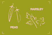 GREENS LINE ART SET (14 elements), a Food Illustration by Bonfloret Studio (Thumbnail 7 of 8)