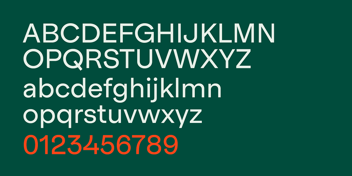 Realgar, a Sans Serif Font by Emtype Foundry (Photo 11 of 11)
