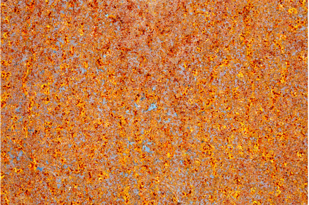 Texture of a Rusted Surface. Steel, a Background Photo by darksoul72