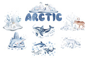 Polar Animals Watercolor Collection, an Animal Illustration by LenArt (Thumbnail 7 of 16)