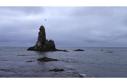 Rock in sea with seagulls in cloudy, a Nature Photo by Media Whale Stock
