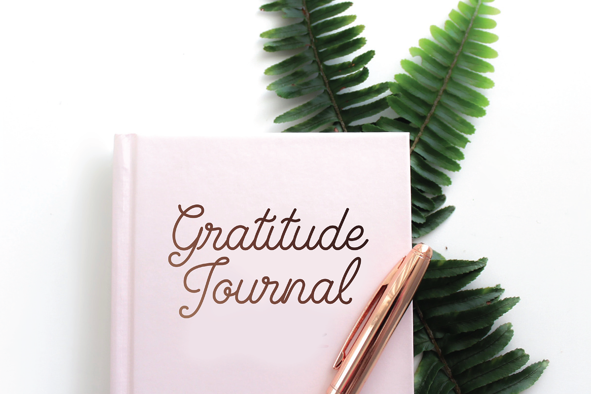 Brookley - Monoline Script Font, a Script Font by Danielle Eneh (Photo 12 of 12)