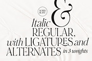 NOIR et BLANC Stylish Serif, a Serif Font by Nicky Laatz (Thumbnail 39 of 41)