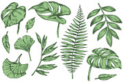 Tropical leaves.  Sketch style, a Seasonal Illustration by made by Tanya (Thumbnail 3 of 4)