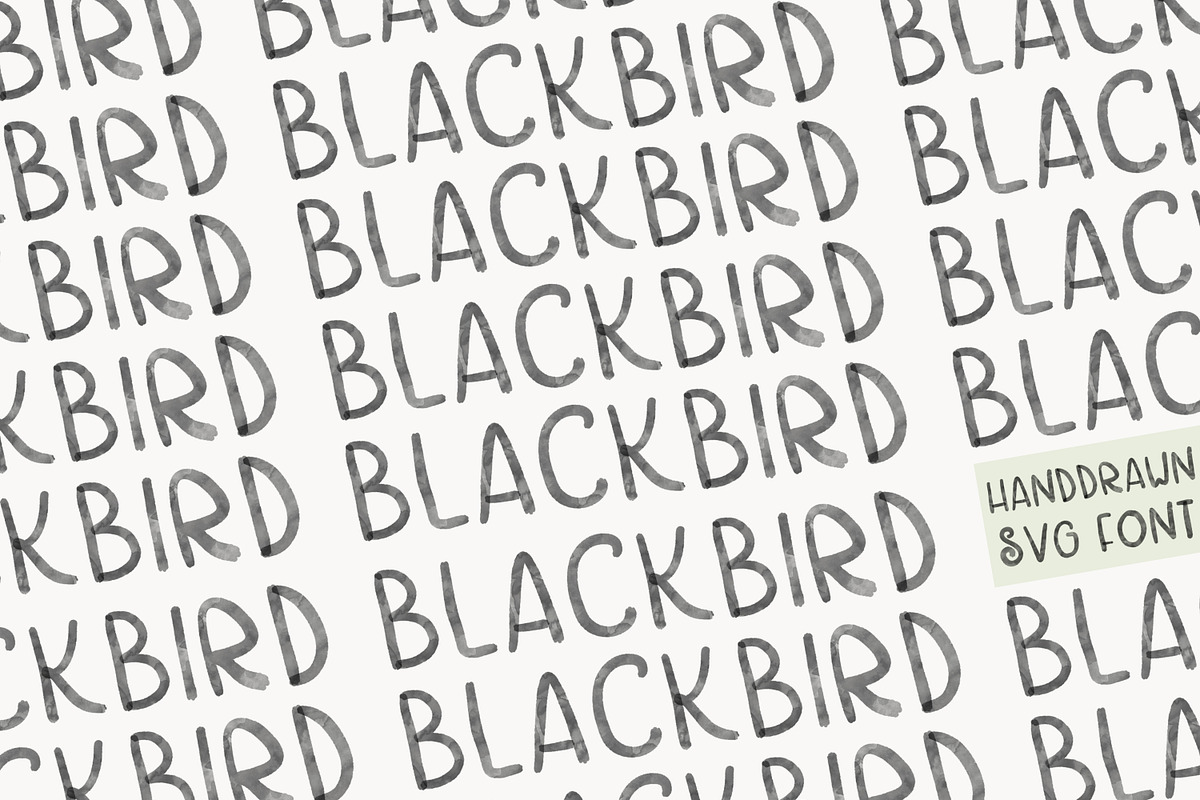 Black Bird a Handwritten Font preview 2