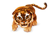 Chinese Zodiac, 12 animals, vectors, an Icon by Allevinatis Studio (Thumbnail 7 of 7)