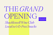 Montaigne Classic Serif, a Serif Font by Fenotype (Thumbnail 15 of 16)