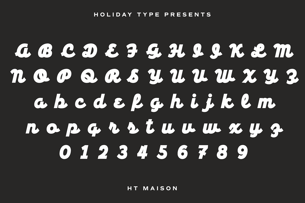 HT Maison, a Script Font by Dharma Type (Photo 4 of 4)