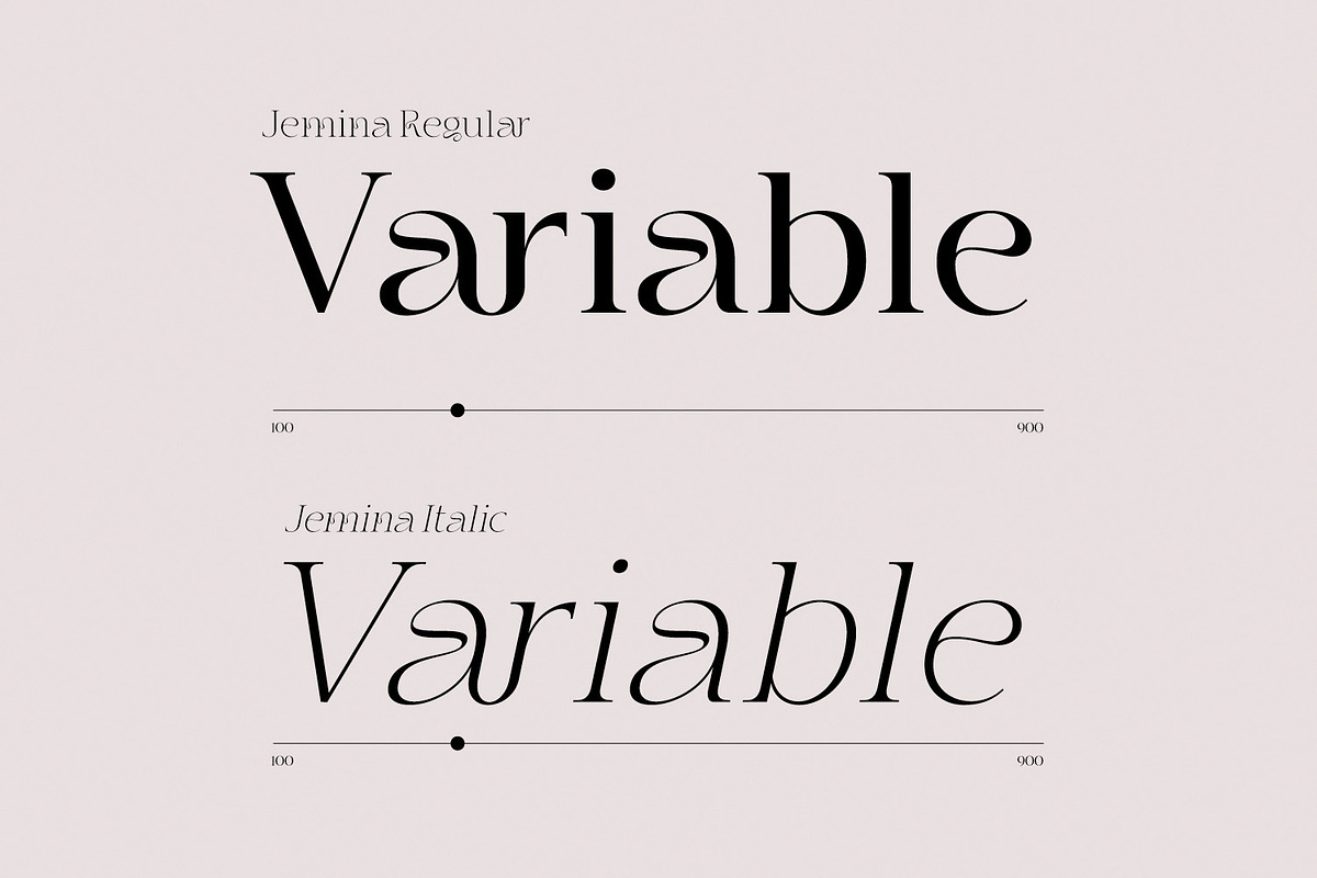 Jemina - Modern Branding Family, a Serif Font by creativemedialab (Photo 12 of 15)