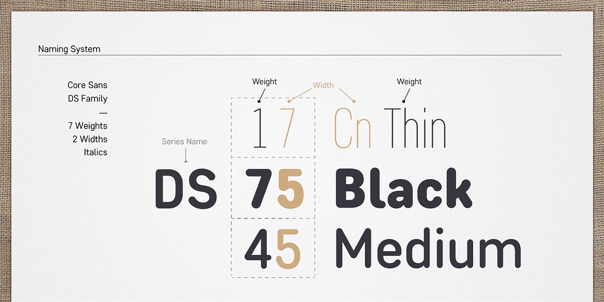 Core Sans DS, a Sans Serif Font by S-Core (Photo 2 of 6)