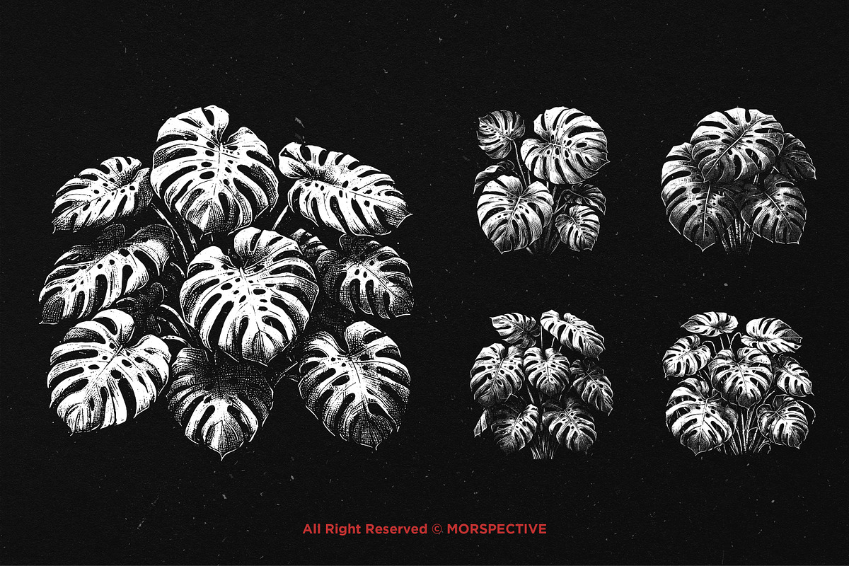 10 Bundle Dark Art Monstera Plant, an Illustration by Morspective (Photo 5 of 7)