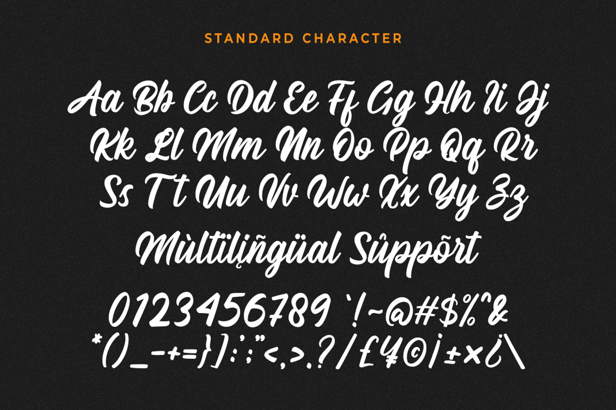 Hasdina Script, a Script Font by Beautypes (Photo 7 of 7)