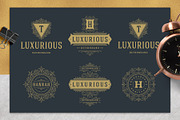 36 Luxury Ornament Logos, a Branding & Logo Template by Vasya Kobelev (Thumbnail 2 of 13)