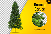 CUT OUT TREES - 60 PCS BUNDLE, a Packaging Mockup by 3DSTORE (Thumbnail 52 of 63)