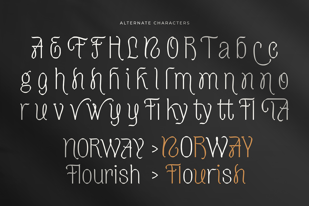 Sharon Elany, a Sans Serif Font by Get Studio (Photo 7 of 27)