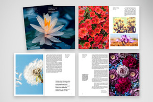 Vibrant and Clean Editorial Template, a Print Template by McLittle Stock