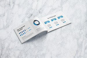 Business Plan Landscape Brochure