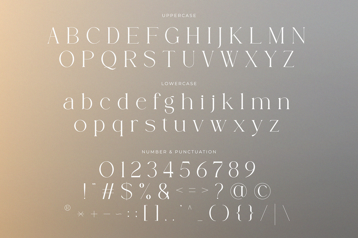 Magite - A New Modern Serif Font, a Serif Font by GridlineType (Photo 10 of 10)