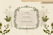 Dark Academia Frame & Ornament Kit, an Object Graphic by KetteCreate (Thumbnail 2 of 21)
