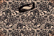Seamless lace patterns with flower, a Texture Illustration by Vikpit (Thumbnail 3 of 4)