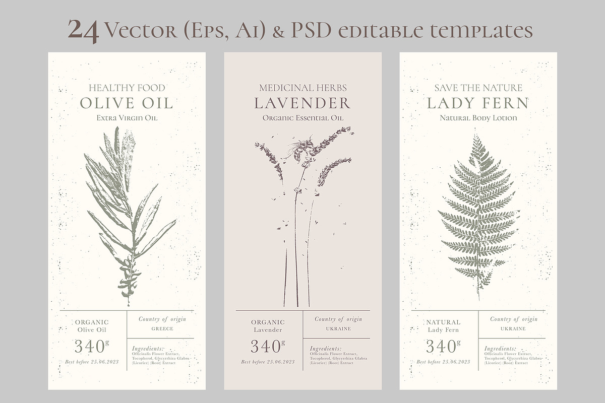 Herbal Design Kit: Vector & PSD, a Templates & Theme by Lumitar (Photo 5 of 8)