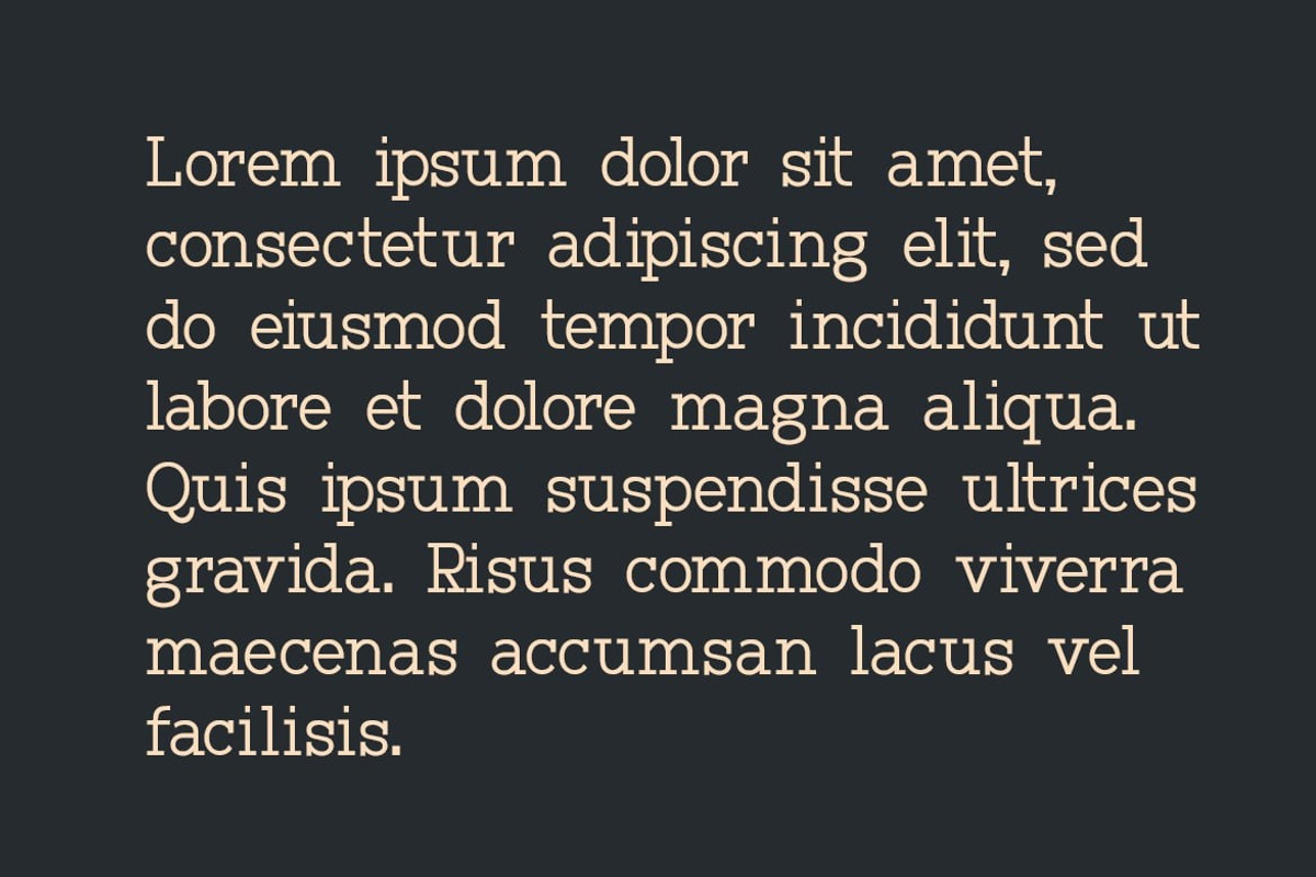 Rymor Display Font, a Serif Font by Webhance Studio (Photo 8 of 8)