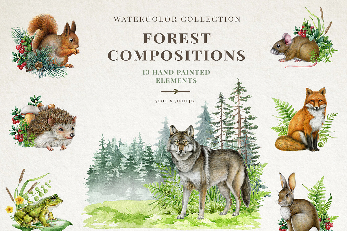 Woodland Animals Watercolor Clipart, an Animal Illustration by AnitaPol (Photo 8 of 17)