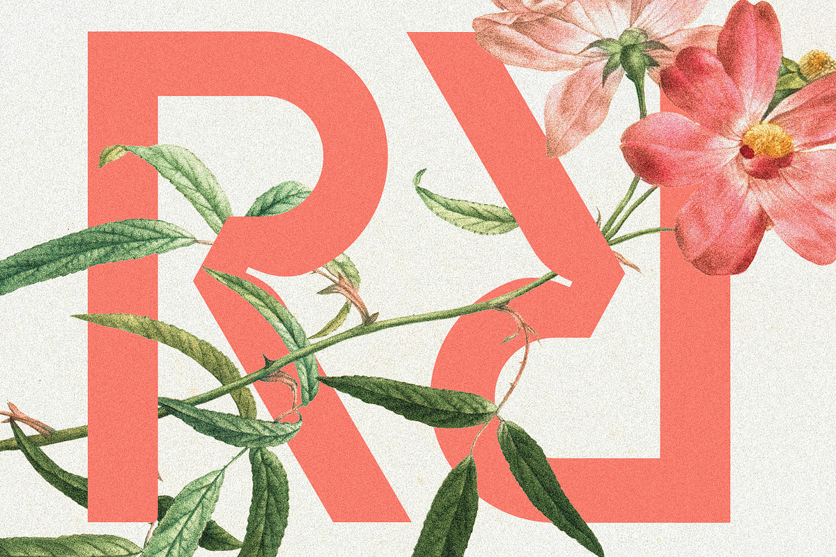 Baroque Grotesk - Ultra Bold Font, a Sans Serif Font by SilverStag Type Foundry (Photo 5 of 20)