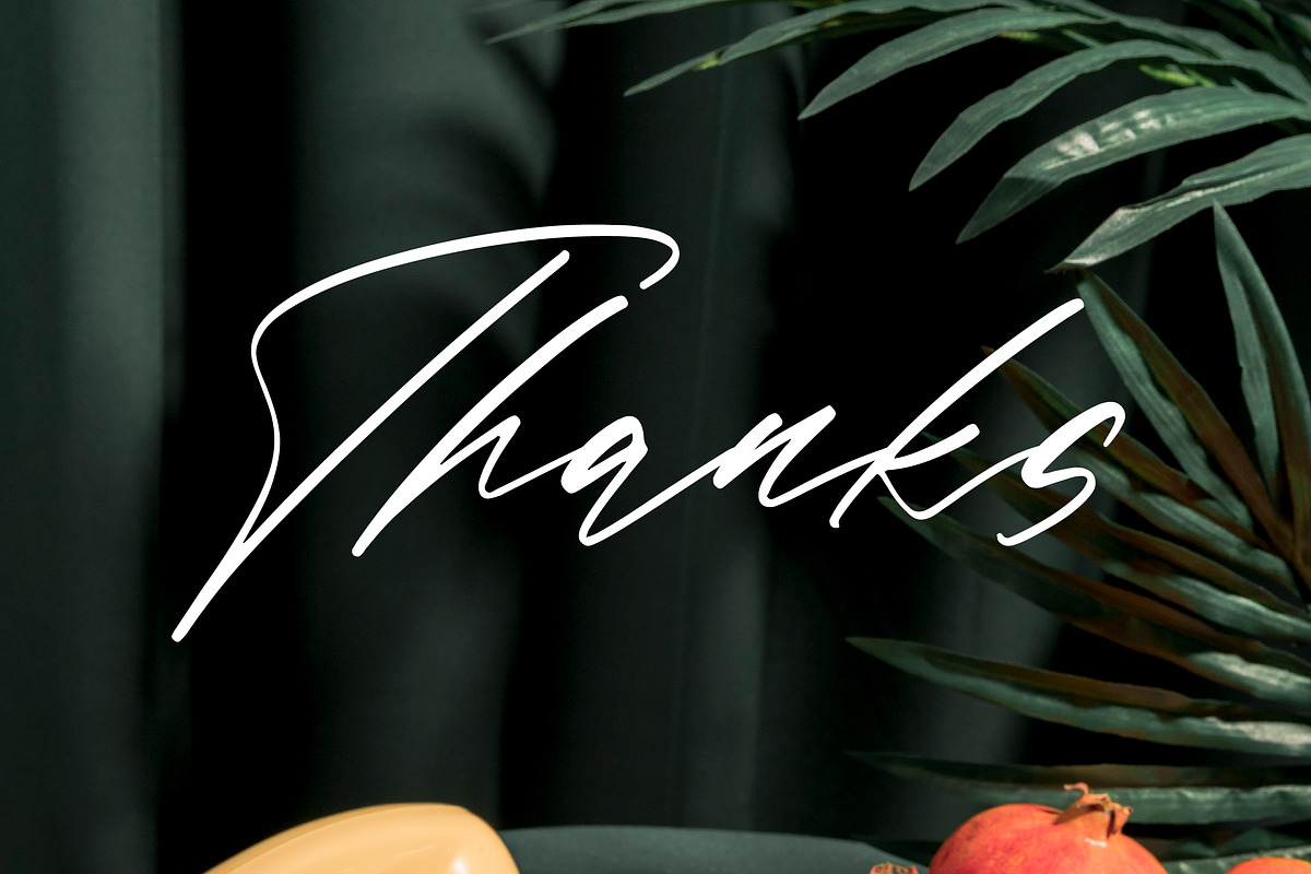 Bold Fade, a Script Font by Integritype Studio (Photo 15 of 15)