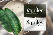 Bikary || Modern Classy Serif Font, a Serif Font by Ermedia Studio (Thumbnail 9 of 10)