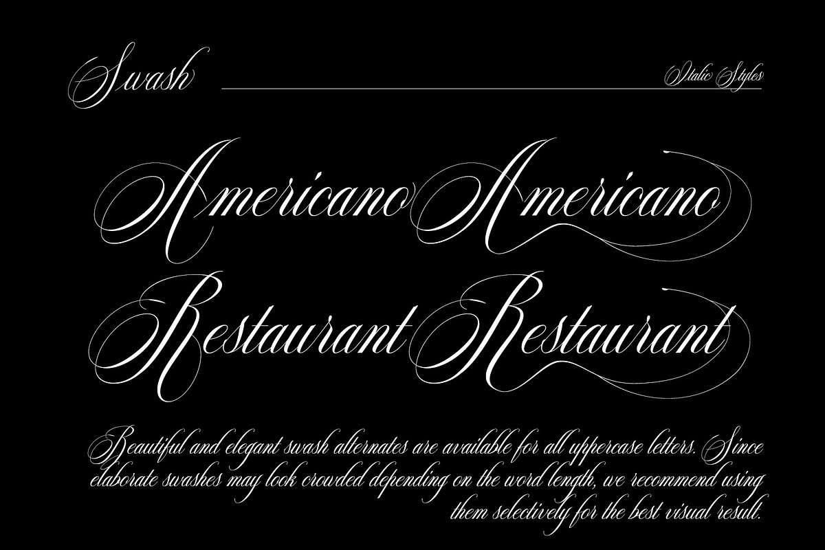 Reichamerina font family, a Serif Font by Ryul Davidson (Photo 26 of 27)