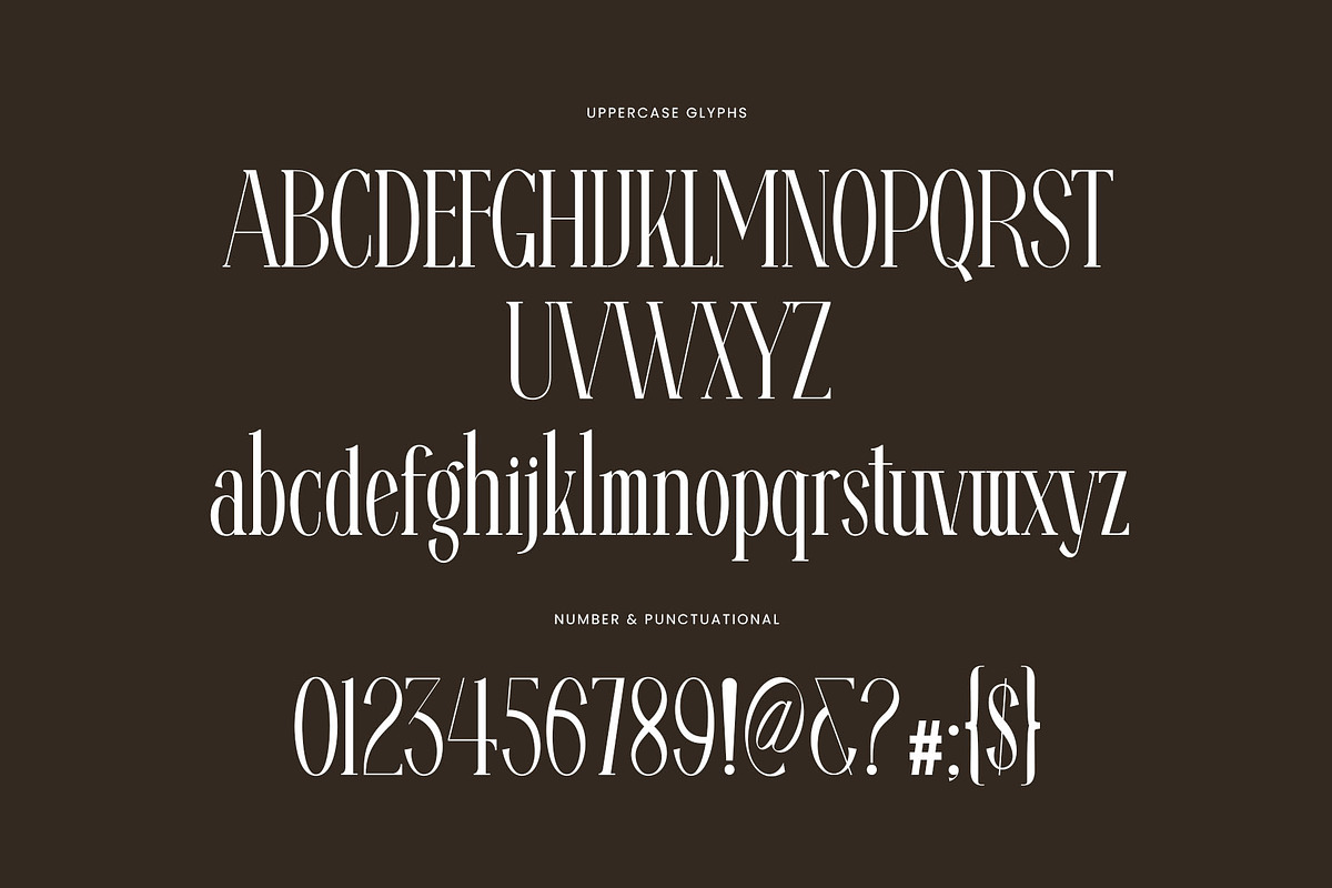 Ragista Elegant Ligature Serif Font, a Serif Font by Perfectype (Photo 7 of 7)