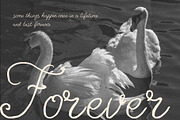 Dear Amelie - Delicate Script Font, a Handwritten Font by BilberryCreates (Thumbnail 6 of 9)
