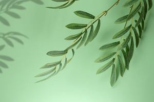 Product display backdrop consisting of a marble pedestal and an, a Background Photo by ndanko
